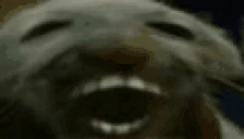 dxd emote