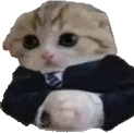 Baseg emote