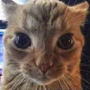 CE_Violencia emote