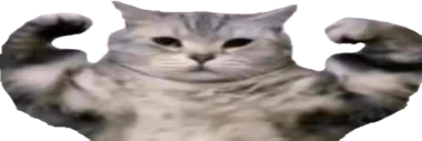catBuff emote