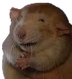 ratGiggle emote