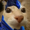 yorukai emote