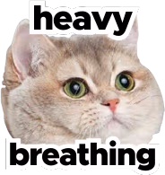 heavy_breathing_cat emote