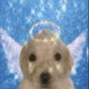 glink0Dios emote