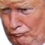 KekTrump emote