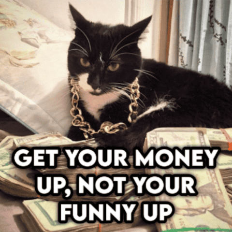 RichCatto static emote