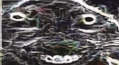 xddxing emote
