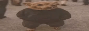 Pamano emote