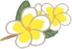 PlumeriaFlower emote