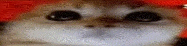 RAGEY emote