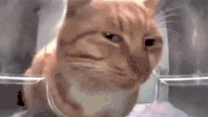 mhmm emote
