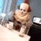 DrinkingClown emote