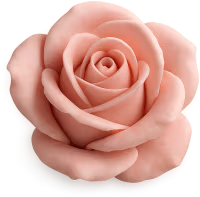 Pink_rose emote