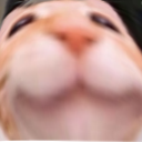 L3 static emote