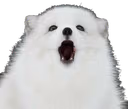 Awoooo emote