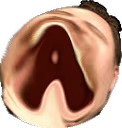 AMEGALUL emote
