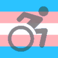 transWheelchair emote