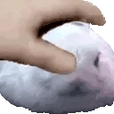 BunnyPat emote