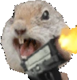 squirrelHadEnough emote