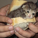 CE_sammich emote