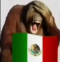 Mexico emote
