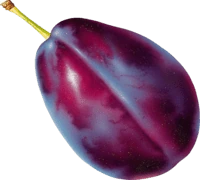 plum emoji