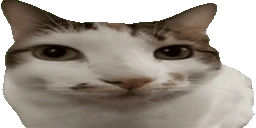 SajDing emote
