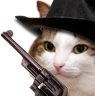 kiisu_cowboy emote