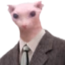 bingusbusiness emote