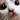 pixelcatwhat animated emote