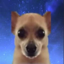 awktrait emote