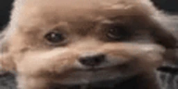 GodBlessYouWithMountainsOfGoldAndSilver emote