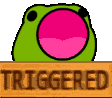 triggered_froggo animated emote