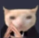 catBusiness emote