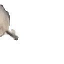 sealArrive emoji