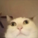 henry emote