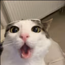plinkChamp emote