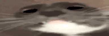AREYOUAWOMAN emote
