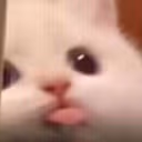 bla emote