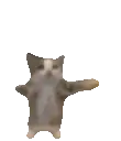 happie emote