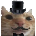 BRUV emote