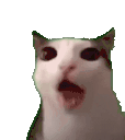 CRUNCHY