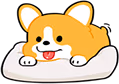 Corgi_Comfy emote