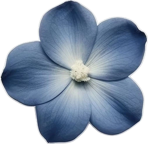 Blue_flower emote