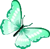 teal_butterfly emote