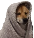 mikiCozy emote