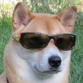 cooldoggo emote