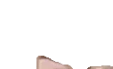 vvp emote