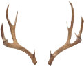 Deerantlers emote