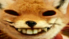 foxdd emote